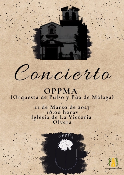 Concierto de la Orquesta de Pulso y Púa de Málaga